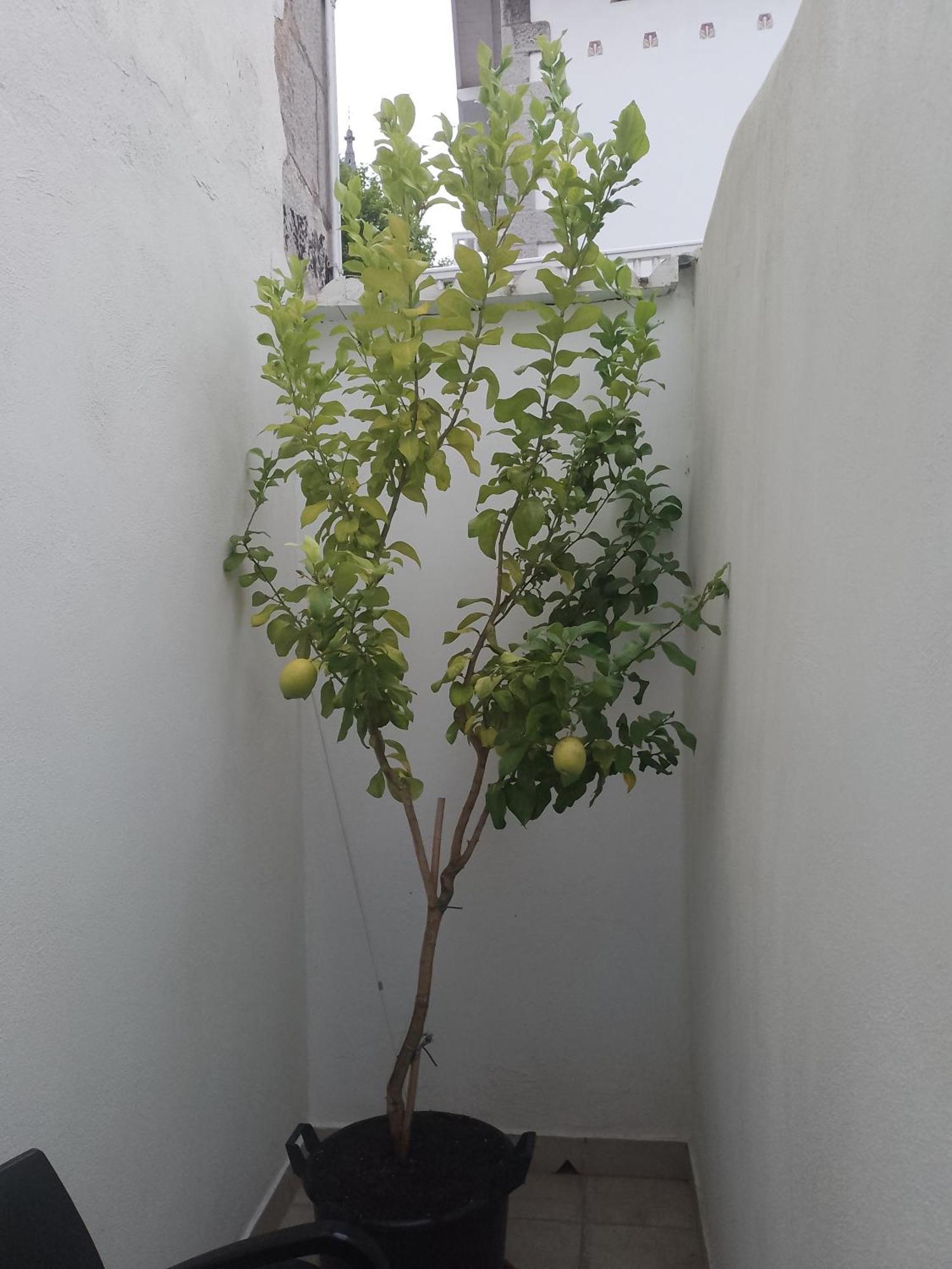Atalaya Apartment Mundaka Exterior photo